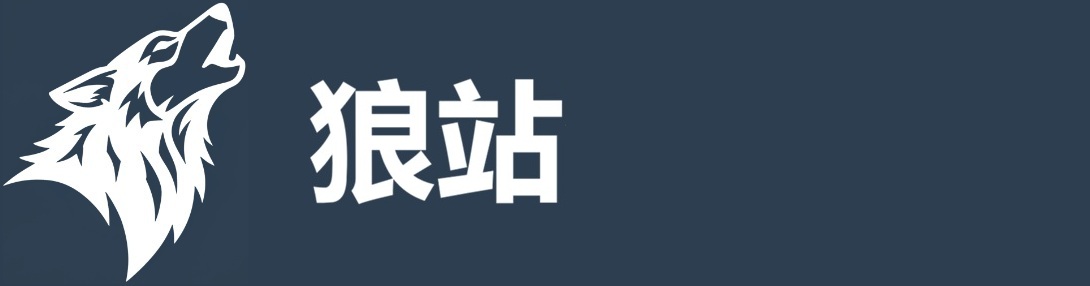 狼站海外网站代理机构